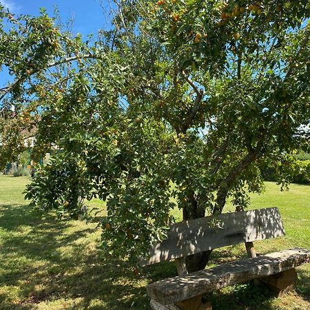 Les Feuilles Jaunes Chantenay-Saint-Imbert Luaran gambar