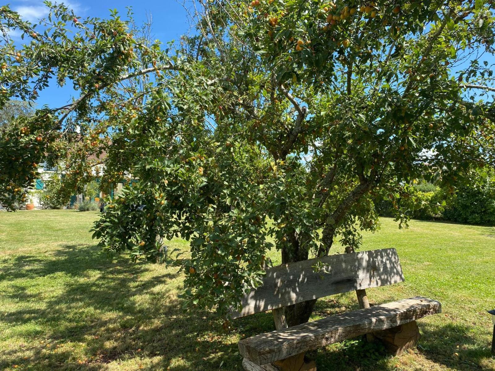 Les Feuilles Jaunes Chantenay-Saint-Imbert Luaran gambar